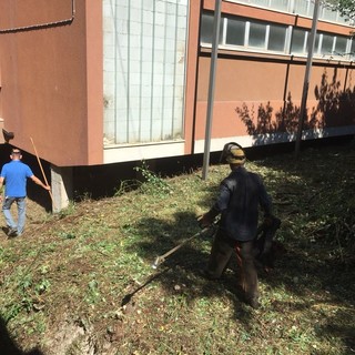 Finale, professori e Gruppo Alpino al lavoro per risanare le aree verdi intorno alle scuole Aycardi-Ghiglieri (FOTO) Finale, professori e Gruppo Alpino al lavoro per risanare le aree verdi intorno alle scuole Aycardi-Ghiglieri (FOTO)