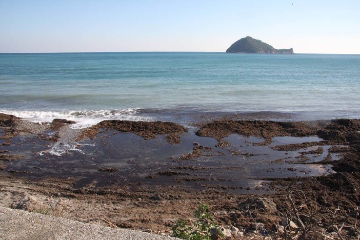 Bagni Marini-Comune di Alassio: chiarimenti in corso Bagni Marini-Comune di Alassio: chiarimenti in corso