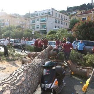 immagine di repertorio