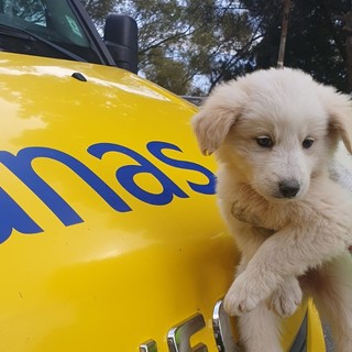 Foto da stradeanas.it