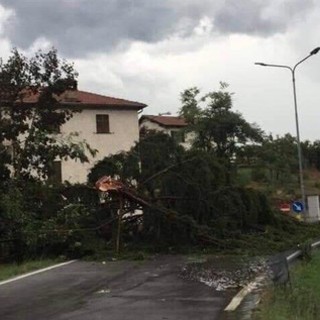 Tromba d'aria a Piana Crixia, sindaco Tappa: "Per fortuna nessun ferito, grazie a tutti per l'aiuto"