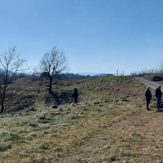 Parco eolico "Bric Surite", il Comitato: "Gli alberi monumentali sono a rischio di abbattimento"