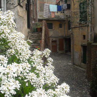 Albissola: presentazione de "Il ritorno del Trebbo poetico"