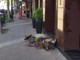 Albenga: atti vandalici in via dei Mille