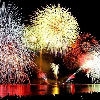 "Fuochi d'artificio crudeli per gli animali": PETA chiede ad Alassio di vietarli "Fuochi d'artificio crudeli per gli animali": PETA chiede ad Alassio di vietarli