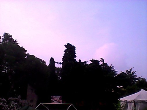 Savona: via gli alberi per i parcheggi al Seminario