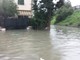 Albenga è nuovamente sott'acqua - aggiornamento 13 - video del Centa