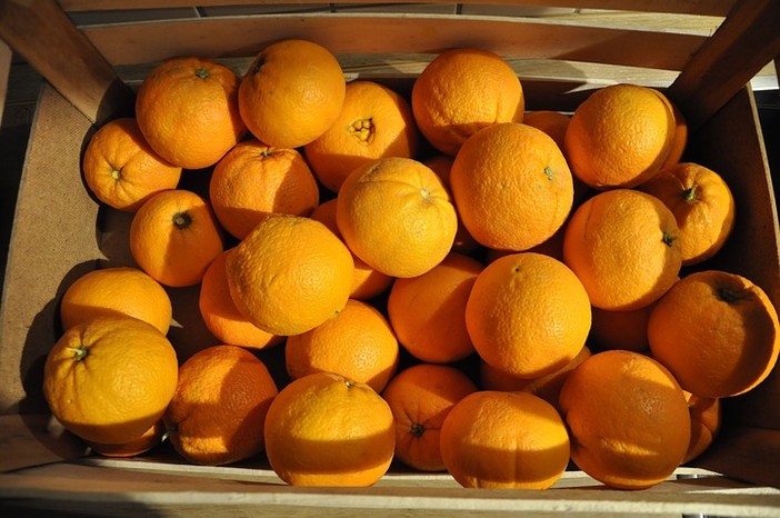 Nasce a Loano un gruppo di "acquisto solidale" per sostenere la "Cooperativa Mandela" contro la 'ndrangheta Nasce a Loano un gruppo di "acquisto solidale" per sostenere la "Cooperativa Mandela" contro la 'ndrangheta