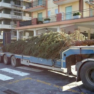 Andora accende l'albero di Natale