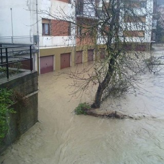 immagine di repertorio