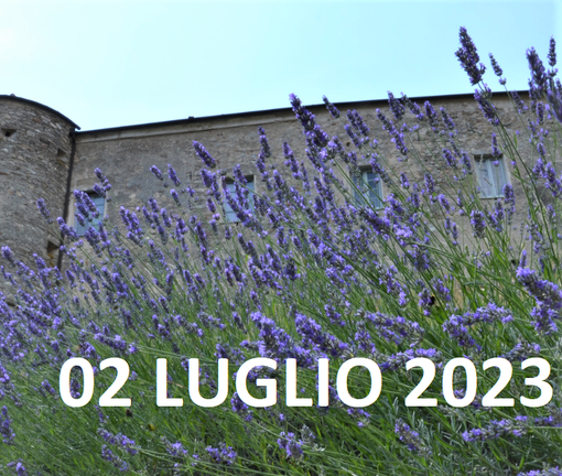 ALTO (CN): tutto pronto per la 2° Edizione della FESTA DELLA LAVANDA” ALTO (CN): tutto pronto per la 2° Edizione della FESTA DELLA LAVANDA”