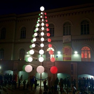 Cairo, indagine di mercato per l'allestimento e smontaggio dell'albero di Natale