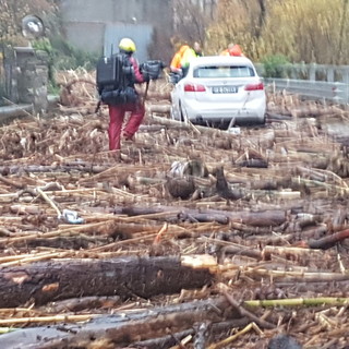 Italia Nostra alla Ubik di Savona per parlare del "dopo mareggiata" in Liguria