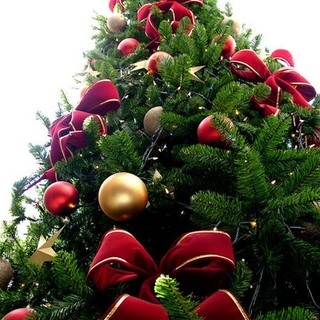 Andora : chiuso il piazzale di via Clavesana per posizionare l'albero di Natale