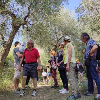 Andora, torna “La merenda nell’oliveta”: per conoscere le bellezze del territorio e degustare i prodotti tipici locali