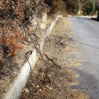 Foto tratte dalla pagina Facebook "Parliamo di Andora"