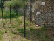 A Noli arriva una nuova area cani in zona Poggio A Noli arriva una nuova area cani in zona Poggio