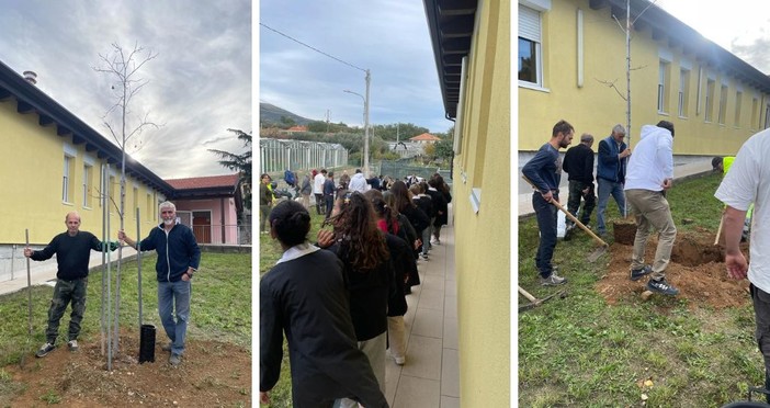 Albenga, il vivaio Michelini dona un albero di tulipani per la scuola di Campochiesa