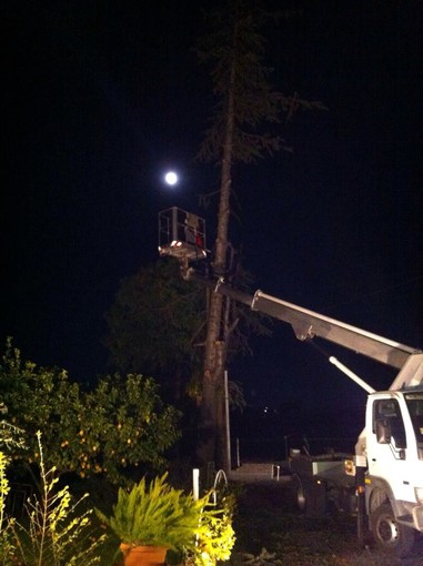 Albenga: interventi di messa in sicurezza del territorio durante tutta la notte