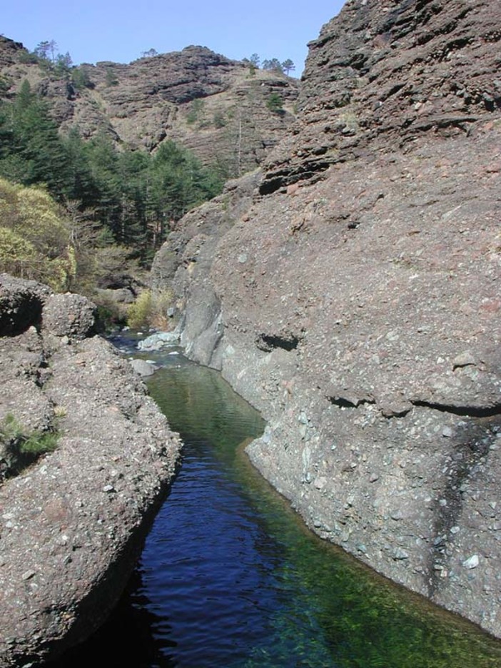 Immagine di repertorio