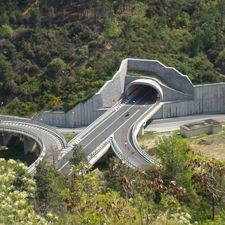 Sicurezza Aurelia bis, i sindaci del comprensorio ingauno: "Serve un tutor" Sicurezza Aurelia bis, i sindaci del comprensorio ingauno: "Serve un tutor"