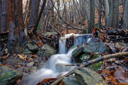 Cairo: esposte a Palazzo di Città le foto dell'Adelasia Cairo: esposte a Palazzo di Città le foto dell'Adelasia