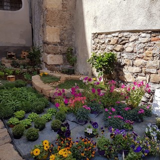 Ad Albenga una "Passeggiata e chiacchierata floreale" organizzata dal FAI Giovani