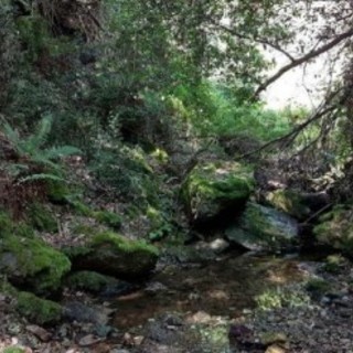 In allegato l'estratto dal progetto rendering