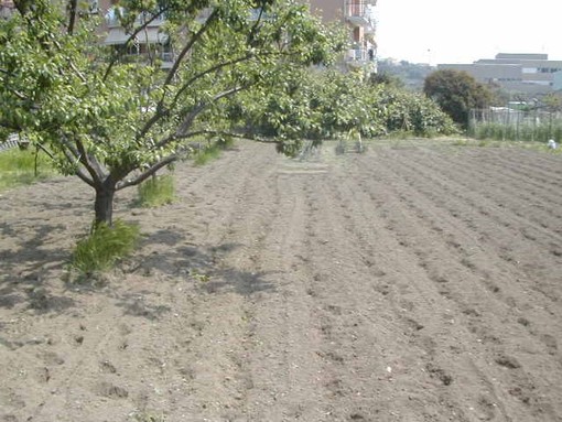 La Liguria raggiunge gli obiettivi di spesa previsti per il 2018 sul PSR (Piano di Sviluppo Rurale) La Liguria raggiunge gli obiettivi di spesa previsti per il 2018 sul PSR (Piano di Sviluppo Rurale)