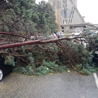 Superlavoro per i vigili del fuoco: oltre una 40ina di interventi tra Savona e Varazze