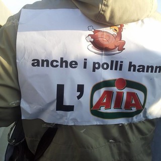 Tirreno Power: dalla Conferenza dei Servizi, si all'AIA ma come dice la Commissione IPPC