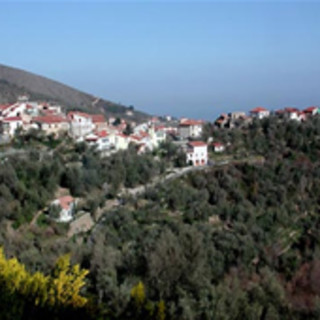 Loano non solo mare, alla scoperta della tradizione olivicola di Arnasco