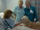 Enpa: animali in ospedale, con le necessarie precauzioni