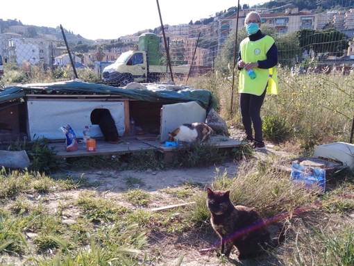 Alassio, Accademia Kronos consegna cibo per animali a 8 famiglie Alassio, Accademia Kronos consegna cibo per animali a 8 famiglie