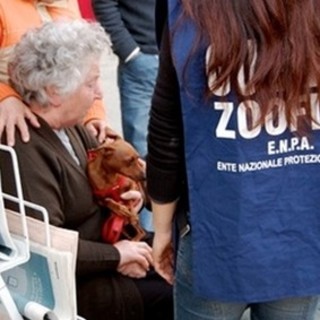 Terremoto: Enpa già in campo per soccorrere gli animali