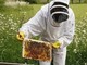A Savona un corso di apicoltura