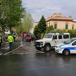 Albero pericolante ad Albisola: chiusa l'Aurelia (FOTO)