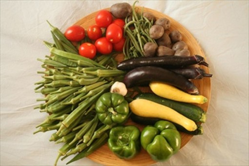 Ad Alassio un seminario sull'alimentazione
