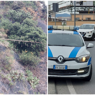 Albero pericolante a ridosso dell'Aurelia tra Savona e Albissola: intervengono i Vigili del fuoco per la messa in sicurezza (FOTO)