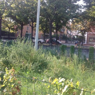 Albenga, area canina in viale 8 Marzo. La Lega Nord: "Il sindaco mantenga gli impegni assunti" (FOTO)