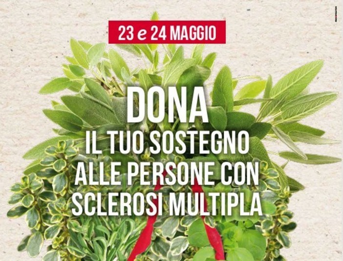 Sclerosi multipla, il 23 e 24 maggio tornano in piazza le erbe aromatiche di AISM