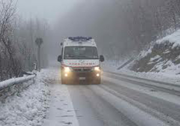 img. repertorio img. repertorio