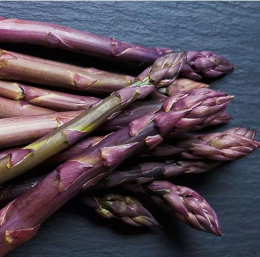 Torna “Albenga in Tavola”: appuntamento dedicato all’asparago violetto