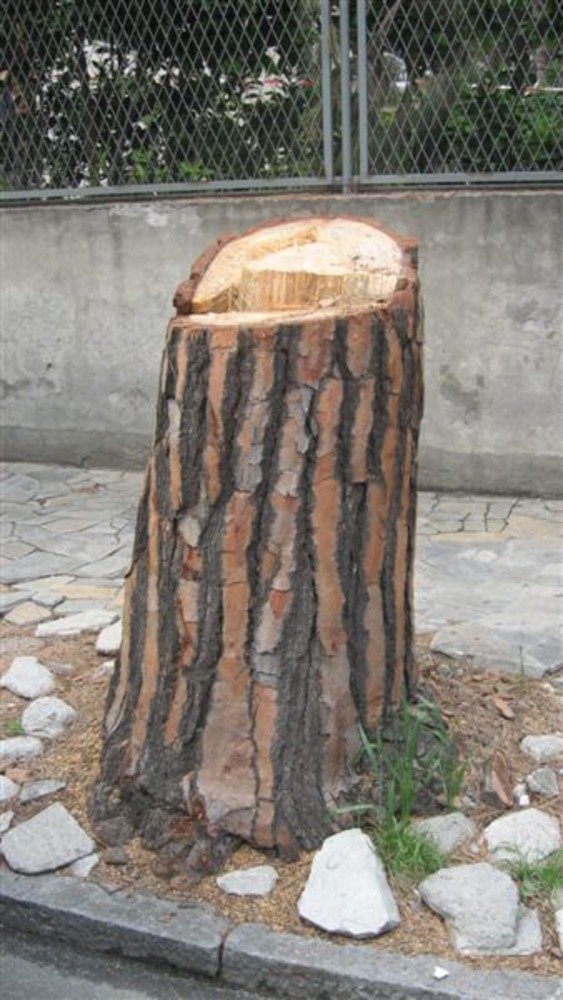 Alassio: il WWF consegna al Comune 1000 firme per tutelare il verde urbano Alassio: il WWF consegna al Comune 1000 firme per tutelare il verde urbano