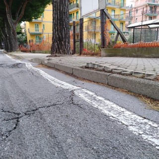 Borghetto: interventi sugli alberi pericolanti. L'amministrazione annuncia: "Due nuovi alberi per ogni abbattuto"