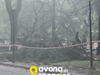 Foto pagina Facebook "Savona da Scoprire"