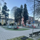Cairo mette in sicurezza i giardini di via Monsignor Bertolotti: tiranti di consolidamento per le alberature ad alto fusto Cairo mette in sicurezza i giardini di via Monsignor Bertolotti: tiranti di consolidamento per le alberature ad alto fusto