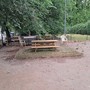 Savona, polemica per il prato a macchia di leopardo all'area canina di corso Ricci. Parodi: "E' un test" Savona, polemica per il prato a macchia di leopardo all'area canina di corso Ricci. Parodi: "E' un test"