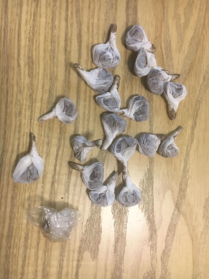 Albenga, in possesso di hashish e di 18 grammi di eroina: arrestato dalla polizia locale