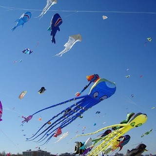 Maltempo in arrivo, rinviato il Festival degli aquiloni ad Andora